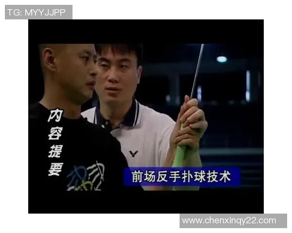 羽毛球评论:南京羽毛球队的区域防守得失