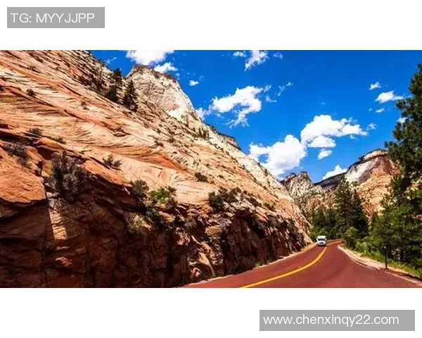 重磅专题:深圳极限运动队的运营革新_1